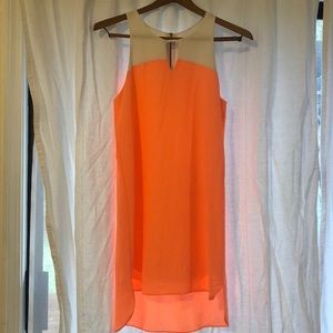 Everly coral and white shift dress Nordstrom